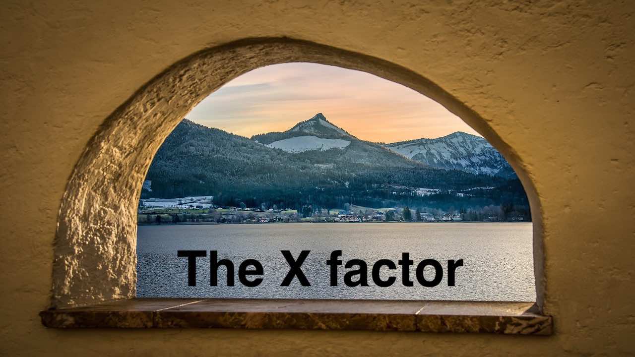 the X factor