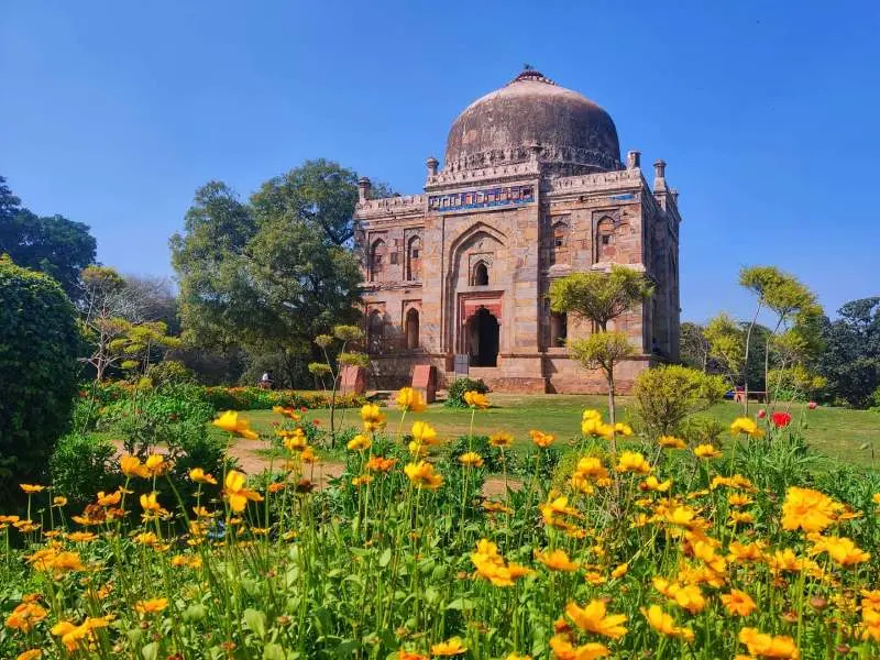 Springtime Bliss in Delhi
